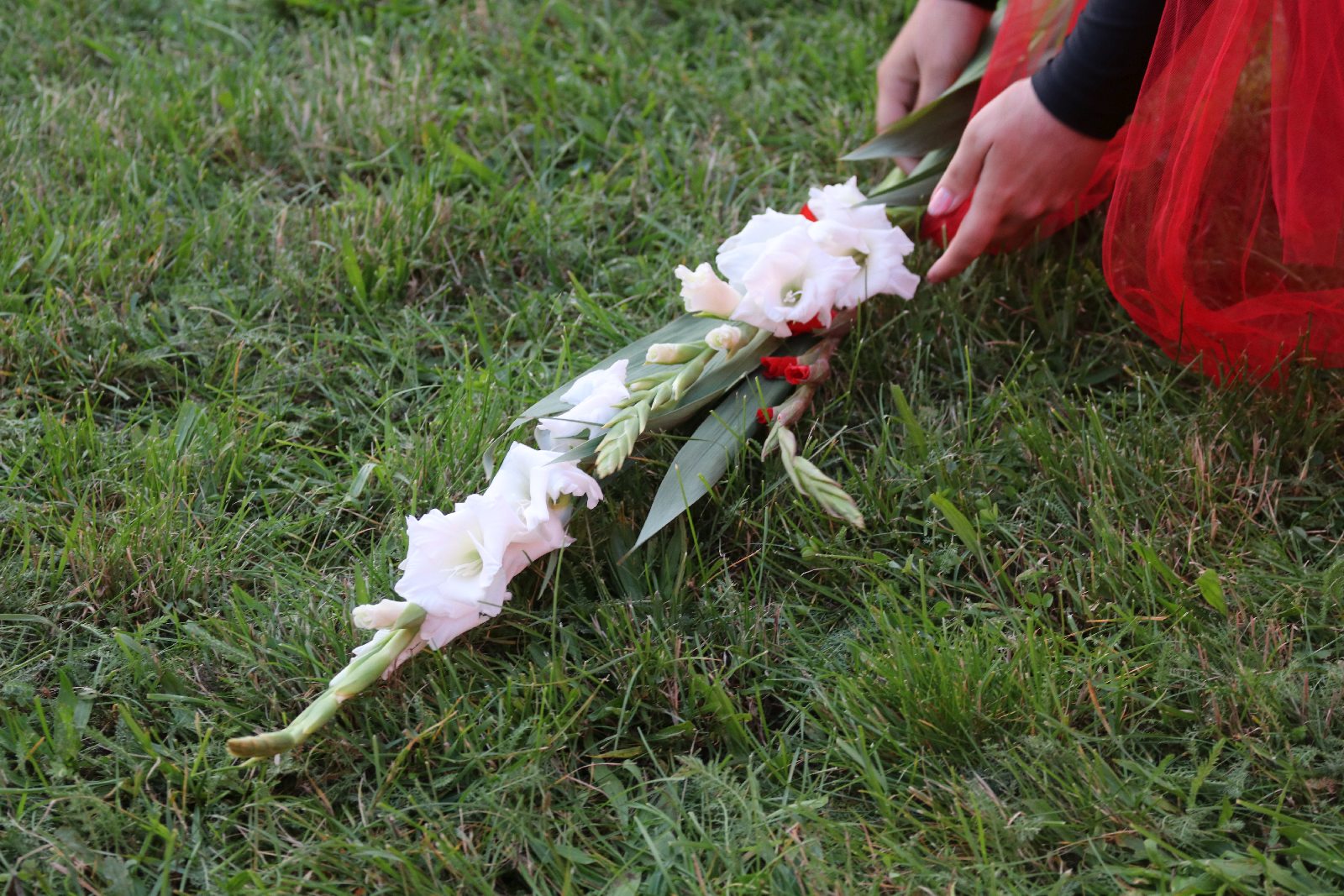 lubin rocznica solidarność (65)