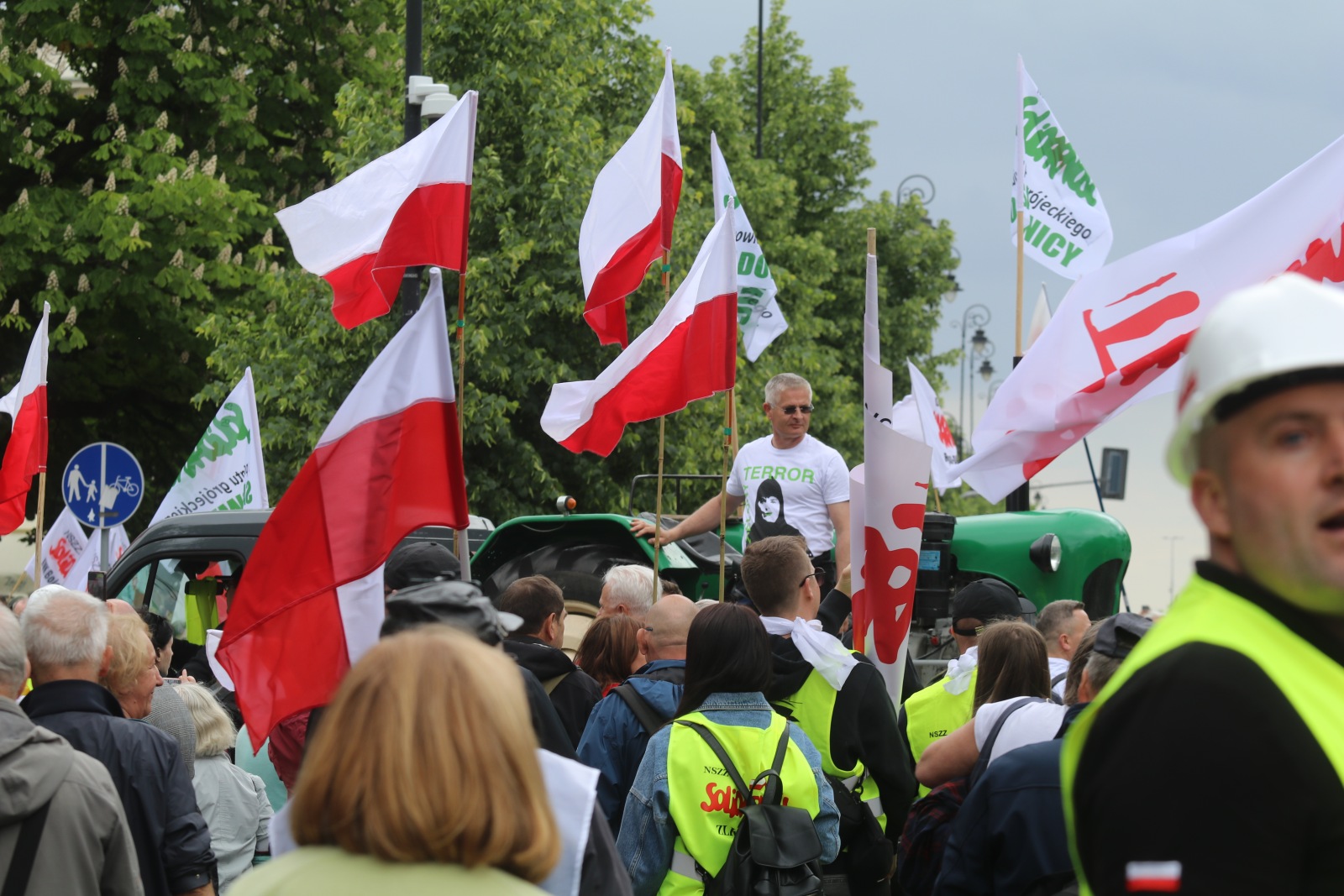 manifestacja (172)