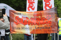 manifestacja (7)