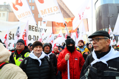 Manifestacja Warszwaa (24)