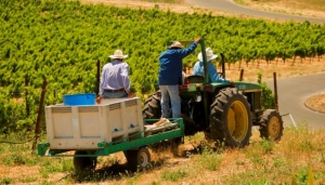 „Solidarność” apeluje do prezydenta w sprawie parobków