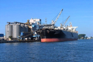 Będzie strajk w Bałtyckim Terminalu Zbożowym w Gdyni?